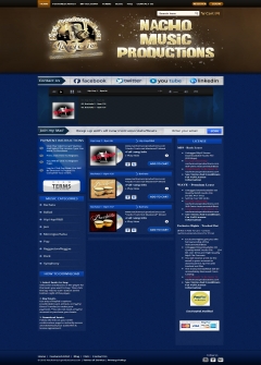 Online Music Selling Website